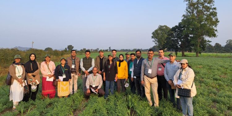 Advancing conservation agriculture – CIMMYT