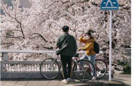 ASIA/JAPAN - Proclamation of faith in the Japanese context