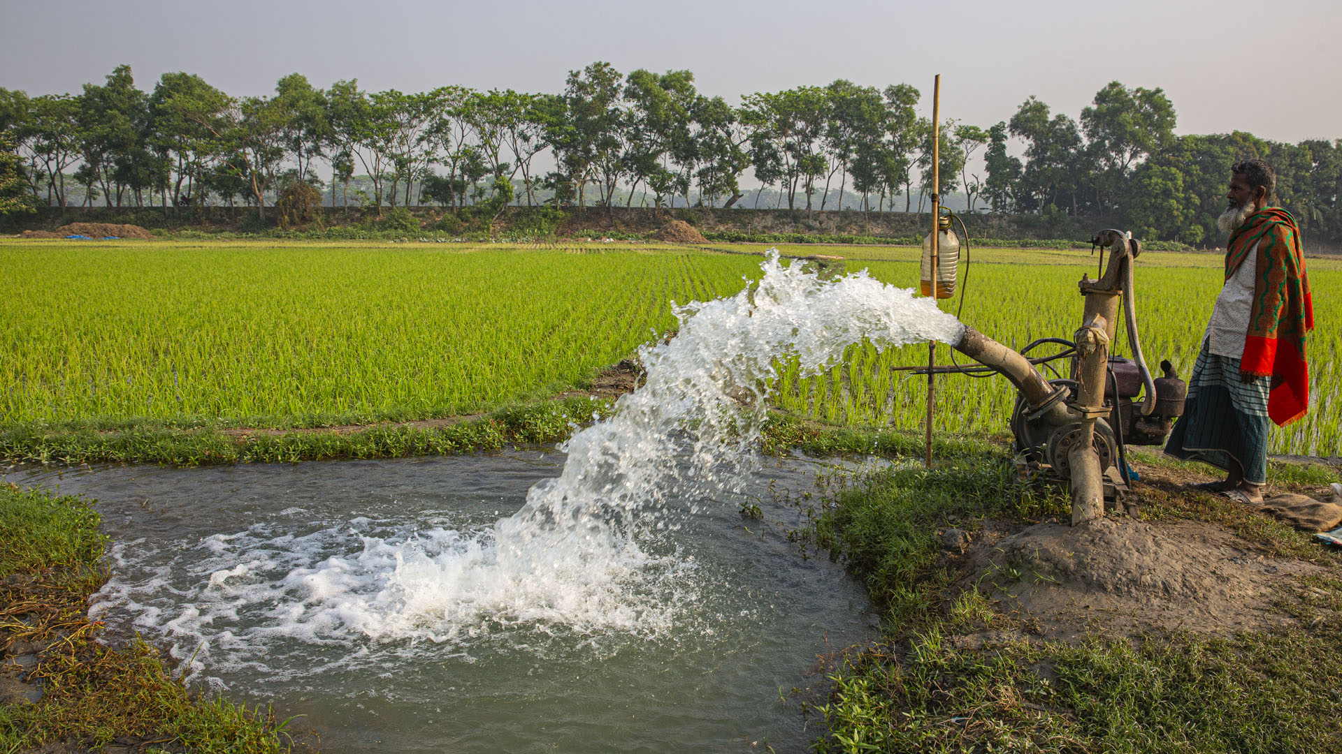 A diesel powered irrigation pump inside a rice field in Munshiganj, Bangladesh.