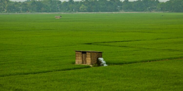 Rocky rollout for Bangladesh’s ambitious solar-powered irrigation plans