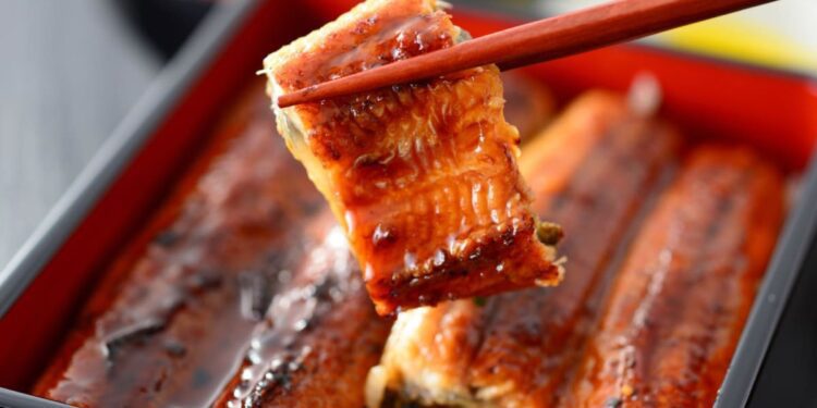 Grilled eel leaves one dead, 140 sick in Japan