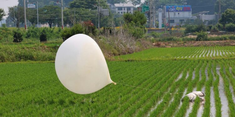 North Korea sending trash balloons to South Korea ‘soft terrorism’, says US think tank