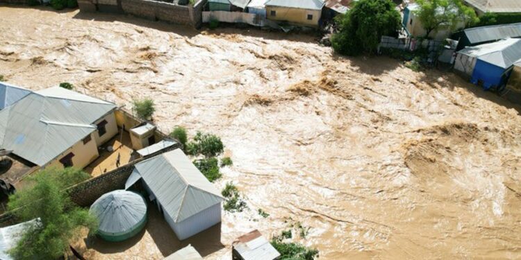 Rains, floods in South Asia endanger over 6.0m children: UNICEF