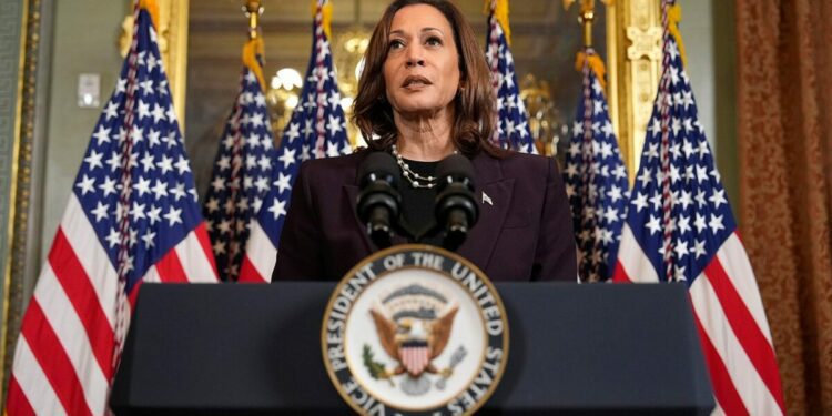 Kamala Harris' foreign policy chops questioned: What has she done, where has she been?