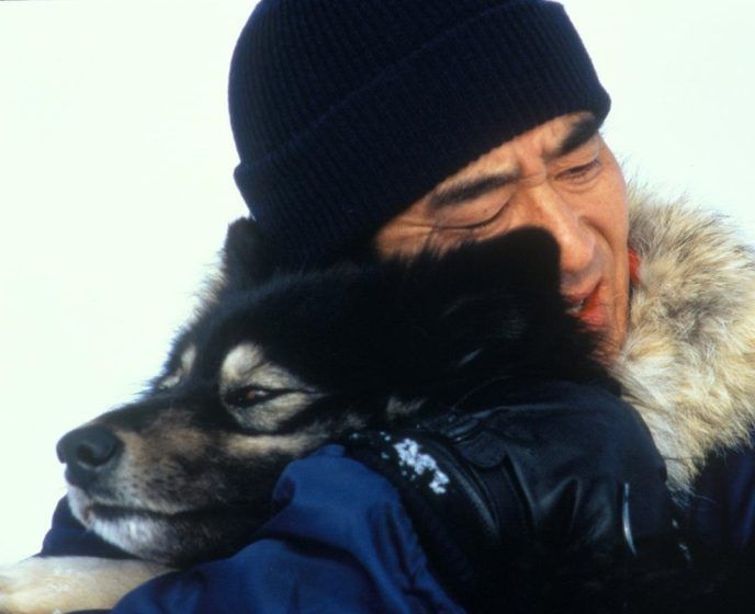 Taro and Jiro in 'Antarctica' (1983) 