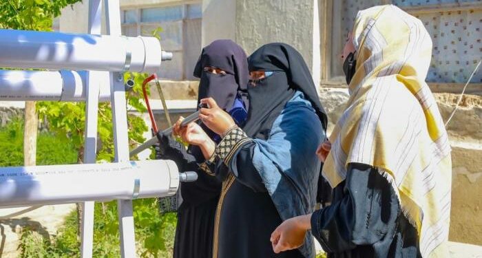 AFGHANISTAN Hydroponic gardening for women in Kabul, nurturing hope three years after the Taleban comeback