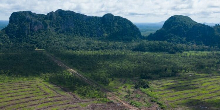 Mining company tied to Cambodian military officials grabs community forest