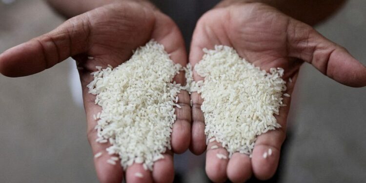 India removes floor price for basmati rice exports to claw back global share