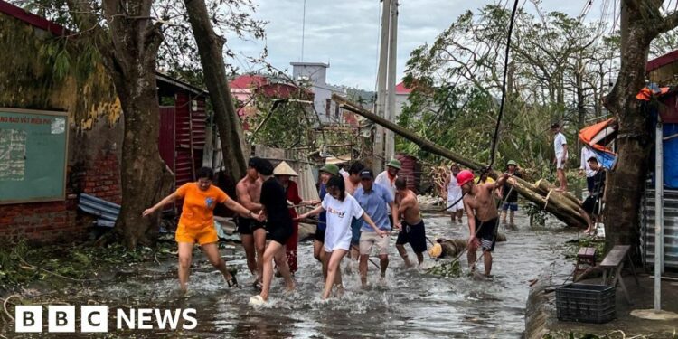 More than a dozen people wade through flood waters and use ropes to remove fallen trees following the impact of Typhoon Yagi in Hai Phong in northern Vietnam