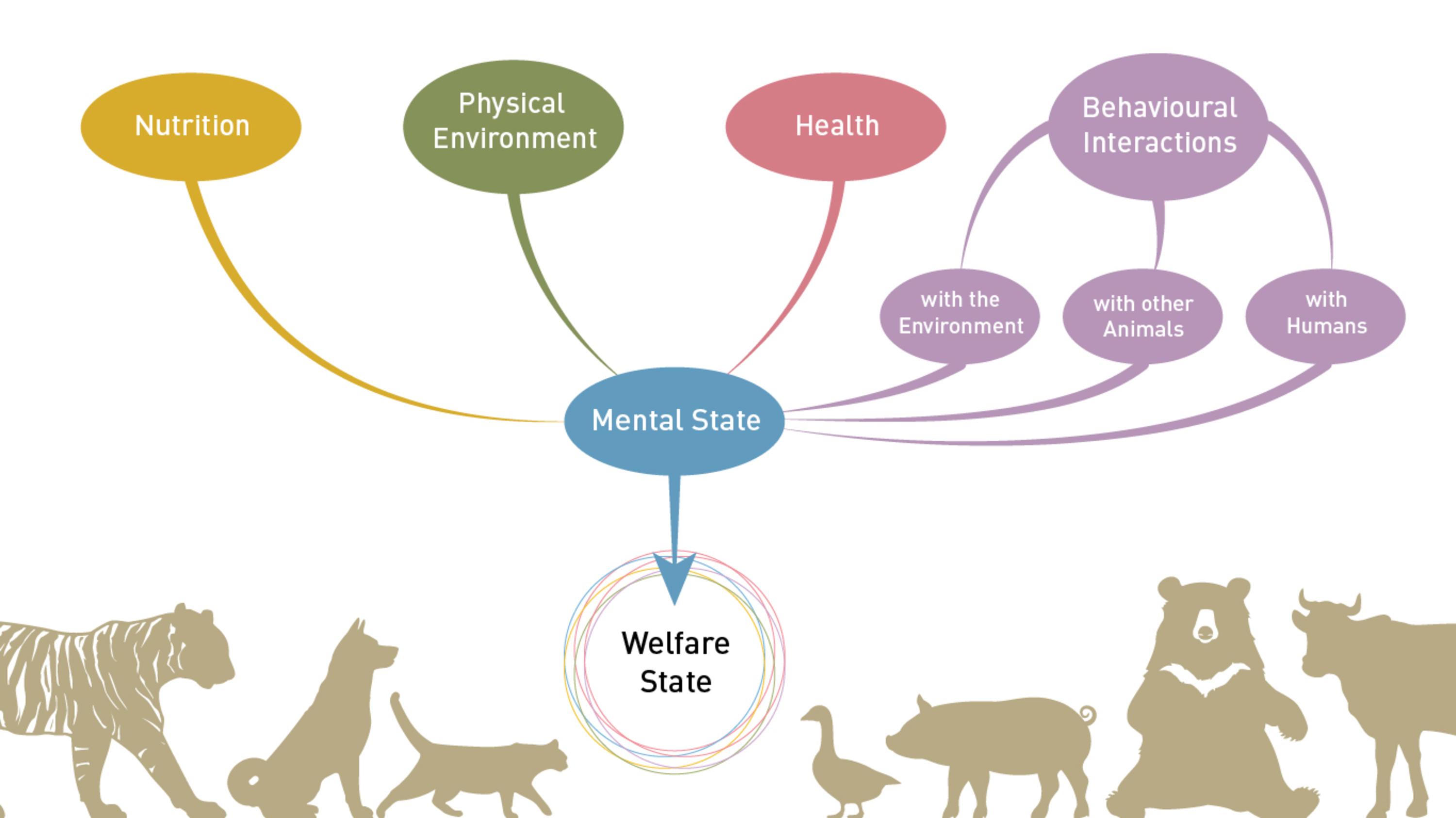 Future of‌ Research: Balancing Scientific ⁣Needs with Animal Welfare Concerns