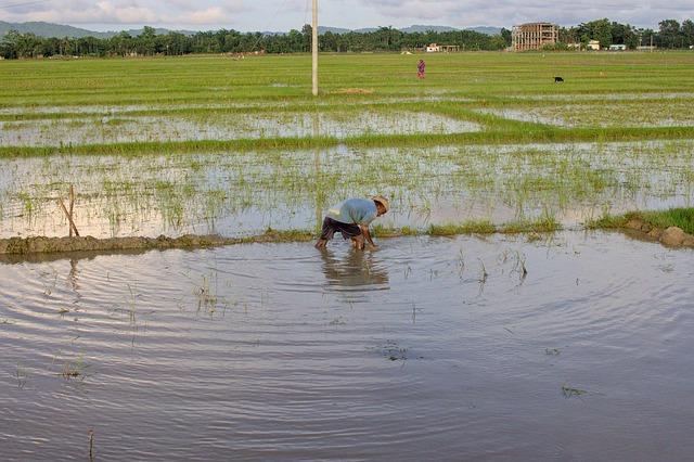 rohingya In Limbo As Some Aid Groups Suspend Health Services At Bangladesh Camps - Eurasia Review