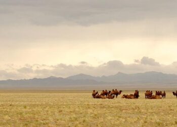 Growing Bilateral Relations Between Mongolia and Turkey – The Diplomat