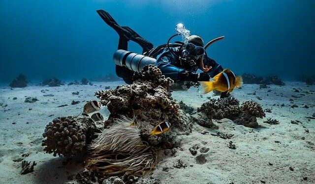 Divers have close encounter with sharks in Maldives – LiveNOW from FOX