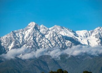 Why Now Is The Time To Visit India, A Bucket List Travel Destination – Forbes