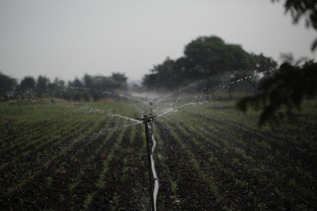 Long-Term Solutions for Sustainable Water Management in Tajikistan