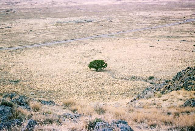 Understanding the Mechanisms Behind ​Historical Drought Patterns