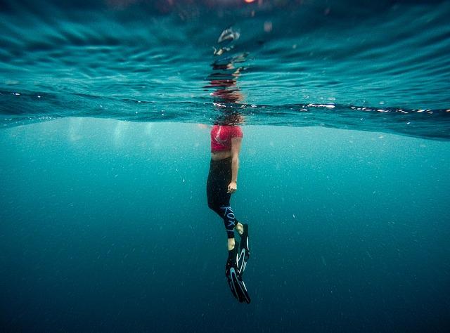 Close Encounter: Divers Share Thrilling Experiences with Sharks in the Maldives