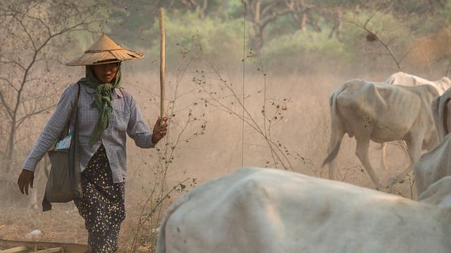 Implications for Myanmar's Ongoing Conflict: Religious Communities at Risk