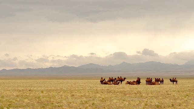 Mongolia's Historical Context and Cultural Ties with the Kremlin