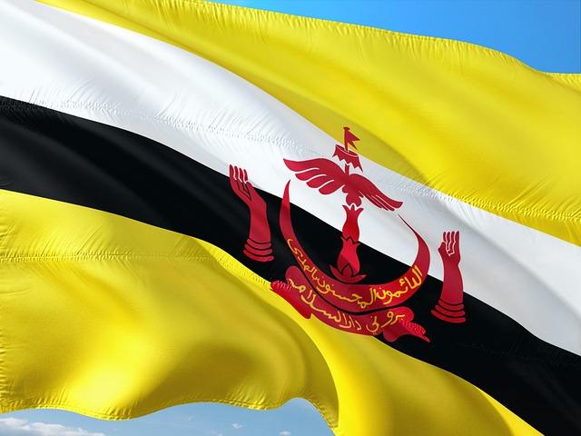 Brunei Darussalam's Renewable Energy Landscape and Current Market Dynamics