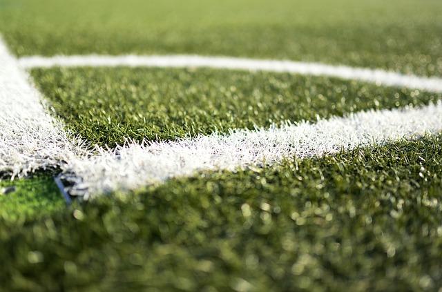 Impact of the Pitch Conditions on Match Outcome and Player Performance