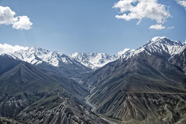 Afghanistan's Rise in‌ International Cricket: A Journey of Resilience