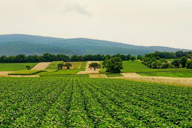 Potential Effects on Agriculture and Crop Management