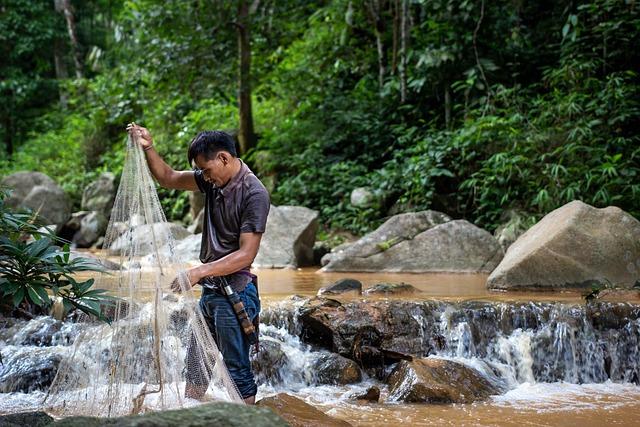 Meaning of Bed Nets and Anti-malarial Tablets in the Fight Against Malaria