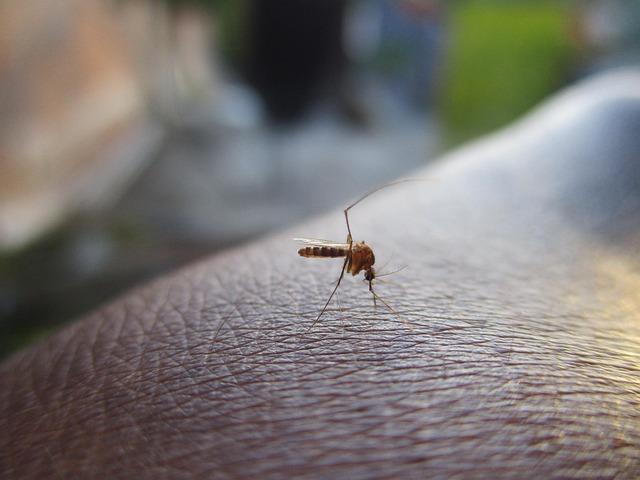 Understanding the Rising Threat of Dengue Fever in the Philippines and Its Impact on Communities