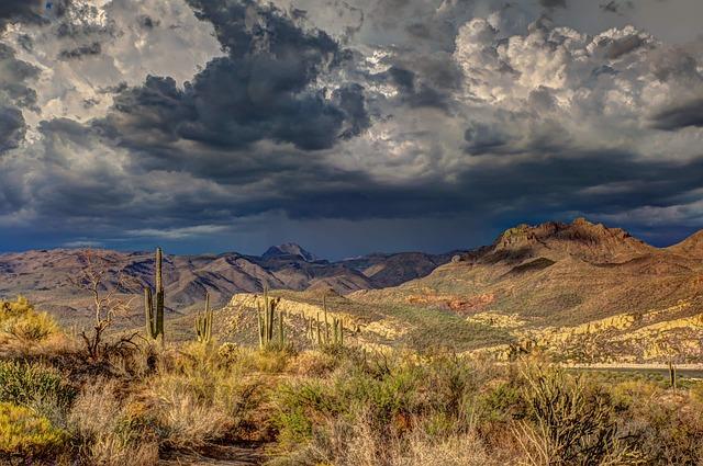 Future ‍Prospects for Oman’s Desert Cloud Forest Conservation