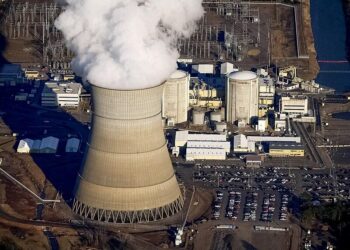 Russia to build Central Asia’s first nuclear power plant in Uzbekistan – Reuters