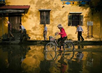 Floods wash out Malaysia’s palm oil harvest as output sinks most in 9 years – South China Morning Post