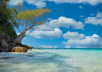 Thailand, UK, Germany, France, Italy, and Denmark Travelers Fuel a Luxury Tourism Boom in Koh Samui, Bangkok, and Phuket Amidst White Lotus Hype – Travel And Tour World