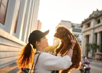 Spay/neuter of street dogs advances in Sri Lanka & Vietnam, halts in Turkey – Animals 24-7