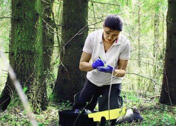 Strengthening forest data collection and fire management in the Caucasus, Central Asia and Türkiye – Food and Agriculture Organization of the United Nations
