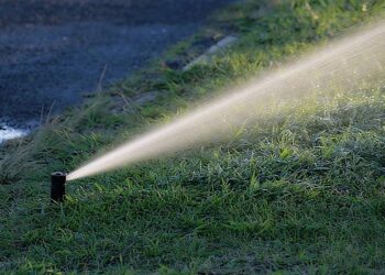 Cost of irrigation water in Kyrgyzstan remains lowest in Central Asia – AKIpress