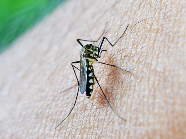 Current Surveillance Strategies for Effective Malaria Monitoring