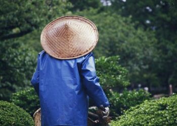 Asia is caught in the crossfire of erratic U.S. energy policy – Nikkei Asia