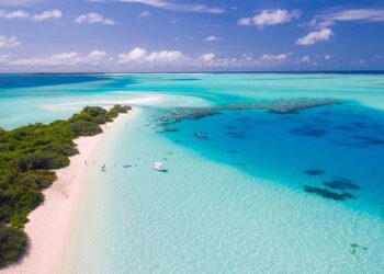 Palak Tiwari Revisits Maldives Travel Days, All About The Island Holiday Destination – NDTV