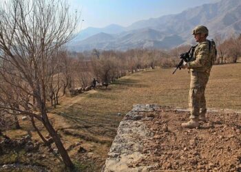 Building resilience to address Afghanistan’s food security crisis – World Bank