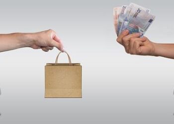 Ending poverty through E-Commerce in Kyrgyzstan, Tajikistan and Uzbekistan? – World Bank