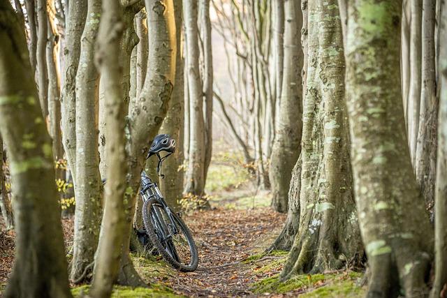 Bike, Hike, Snorkel: How To Spend A Perfect Day At St John's Island, Singapore - Travel + Leisure Southeast Asia