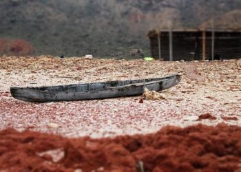 A warning to Israel and the US: Yemen isn’t Syria – The Cradle