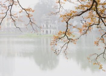 Diverging from the “Blazing Furnace:” Vietnam’s Opportunity to Attract More U.S. Investors – Center for Strategic & International Studies