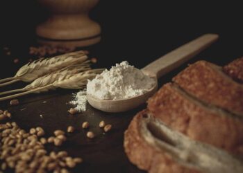 Iraq Tops Turkey’s Flour Import Chart as Turkey Expands Global Dominance – Kurdistan24