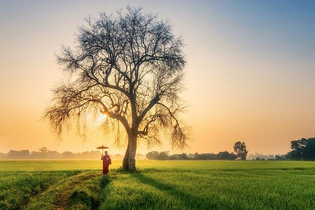 The Impact of AI on Religious Education: Insights from Bhutanese Monks and Nuns