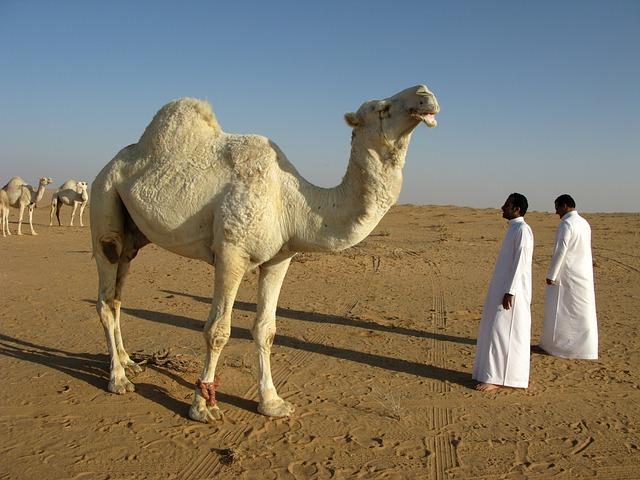 The Importance Of Saudi Arabia In U S Policy