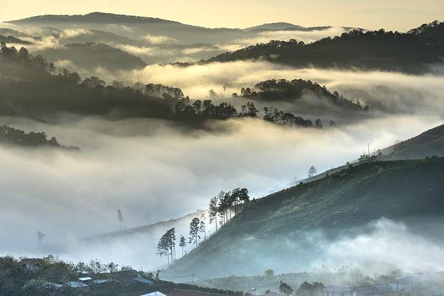 The Future of asia's Economy: Trends Shaping the Next Decade