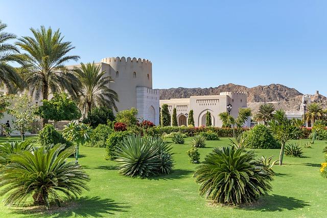 Asia -⁣ Saving Oman’s unique desert⁤ cloud forest - BBC