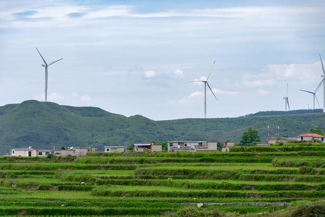 The Future of Sustainable Development in Brunei Darussalams Urban Landscape